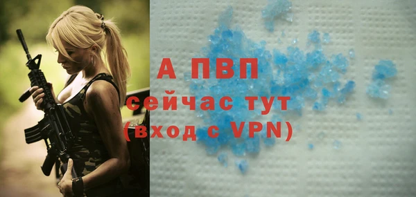 гидра Алексеевка