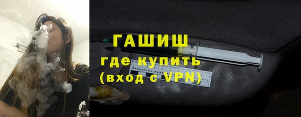 гашик Алексин