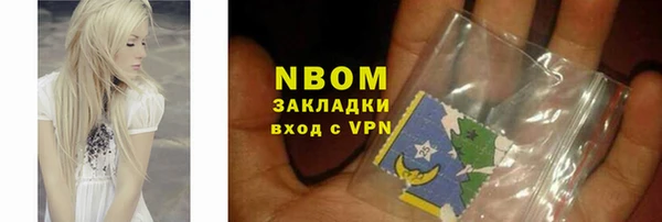 гашик Алексин