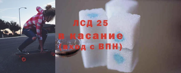 гашик Алексин
