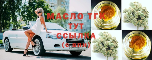 гашик Алексин