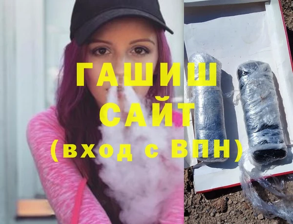 гашик Алексин