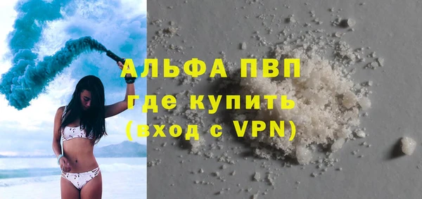 гашик Алексин