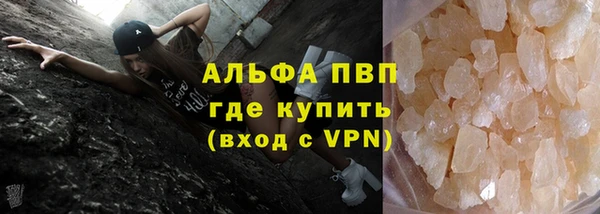 гашик Алексин