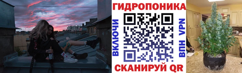 МАРИХУАНА ГИДРОПОН  Опочка 